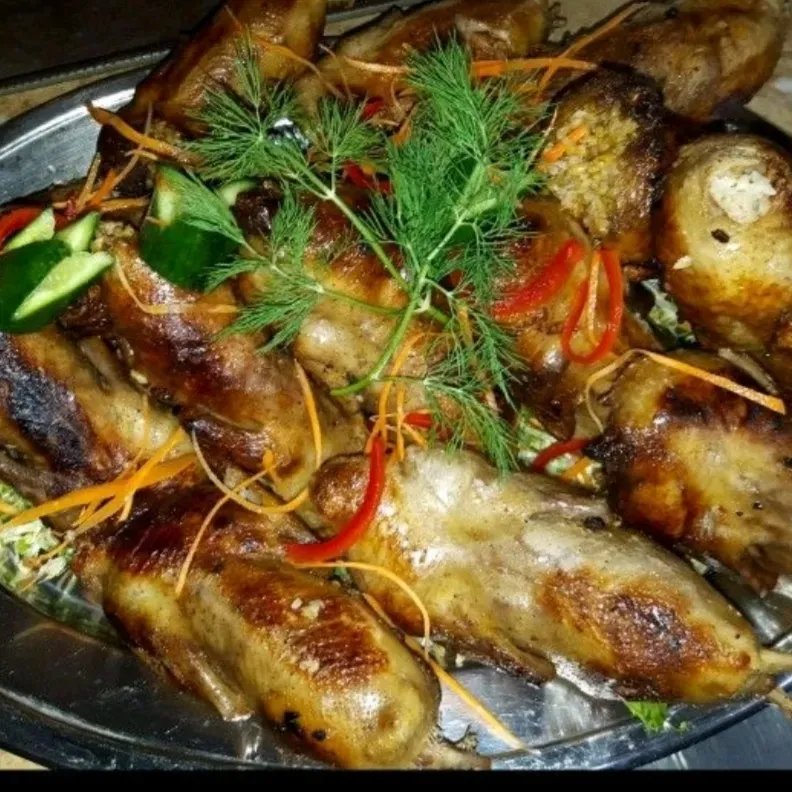 Stuffed pigeon