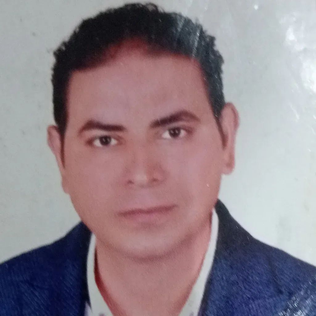 حمدى سيد