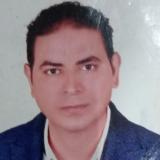 حمدى سيد