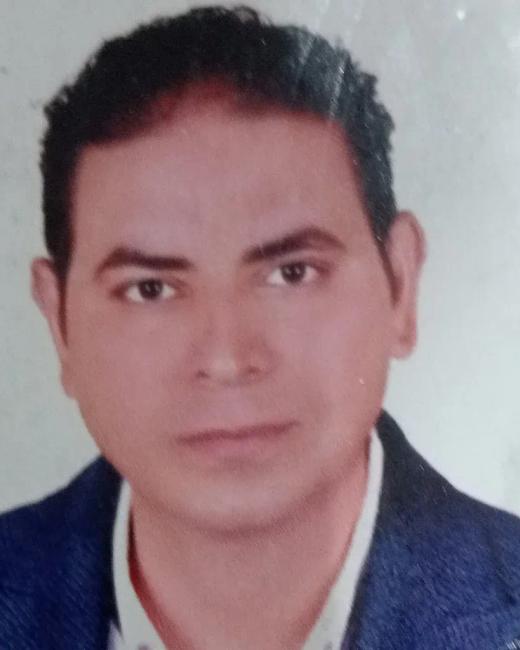 حمدى سيد