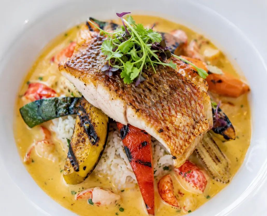 Caribbean snapper