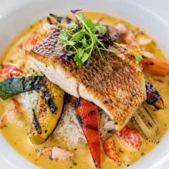 Caribbean snapper