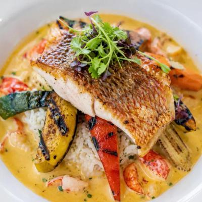 Caribbean snapper