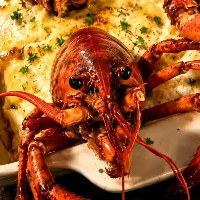 Giant lobster cinnamon