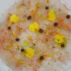 carpaccio de quisquilla
