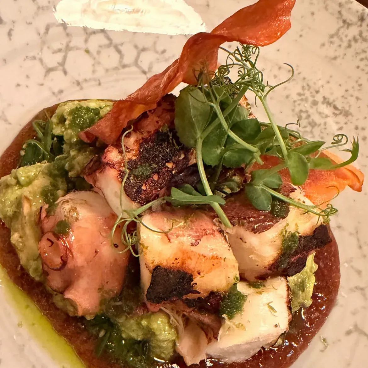 octopus