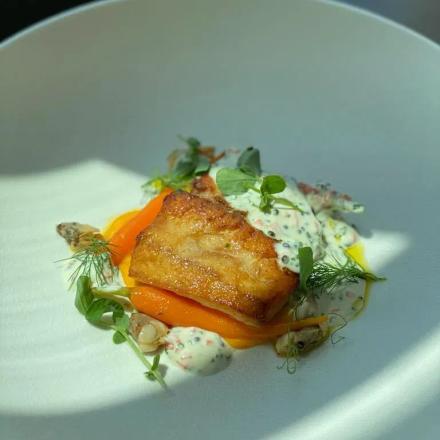 Pan Seared Seabream