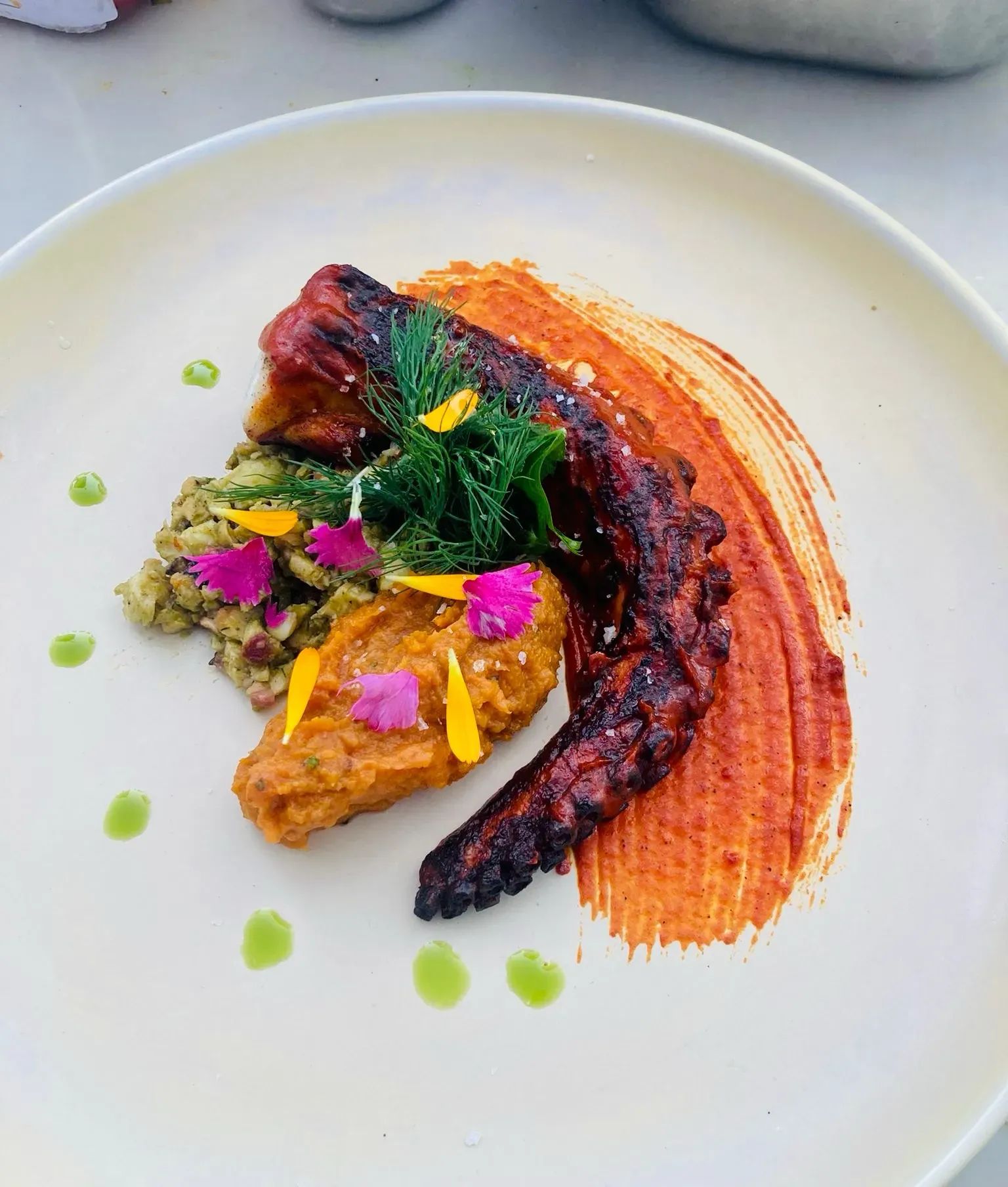 Charcoal-Grilled Octopus with Anticucho Sauce, Sweet Potato Purée & Mojo Verde