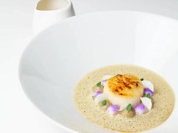 Gourmet Menü