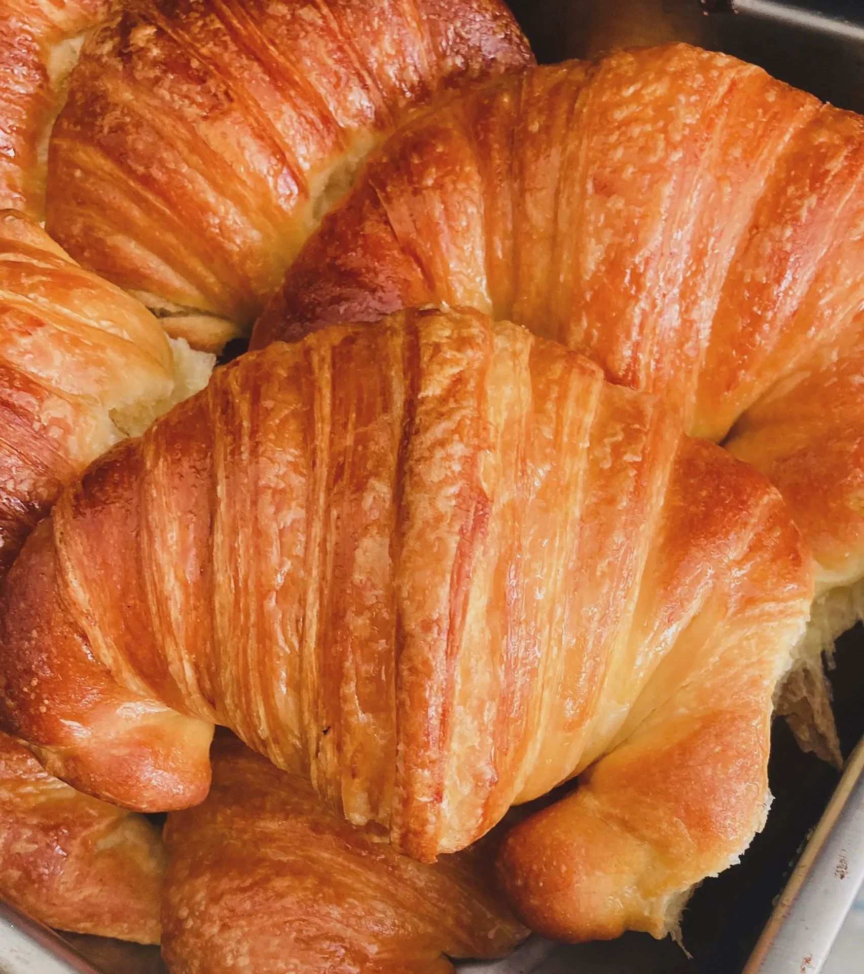 Classic pastry Argentina