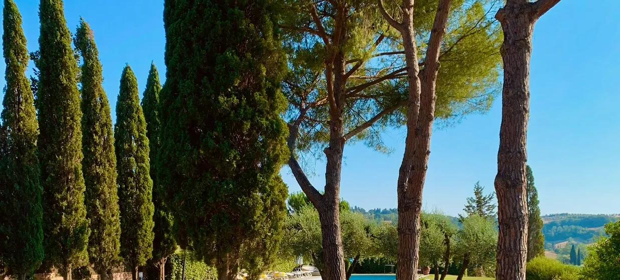 Tuscany Forever